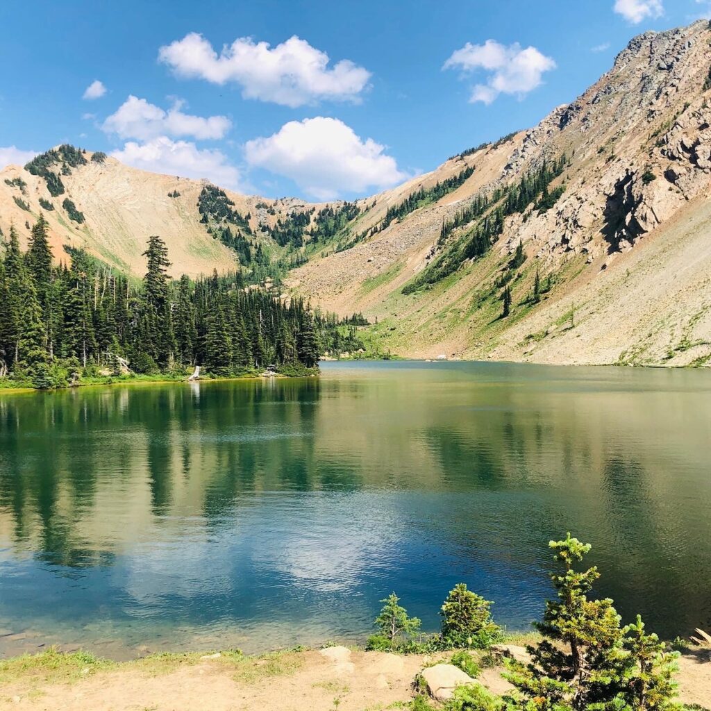 Ask us how pest control in Cranbrook can help you